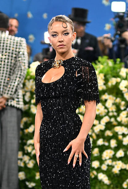 Actress Sydney Sweeney arrives for the 2025 Met Gala at the Metropolitan Museum of Art on May 5 in New York. The Gala raises money for the Metropolitan Museum of Art's Costume Institute. The 2025 Met Gala is themed "Tailored for You," aligning with the Costume Institute's exhibition, "Superfine: Tailoring Black Style," set to open to the public on May 10 — frame 40/73 (415×612)