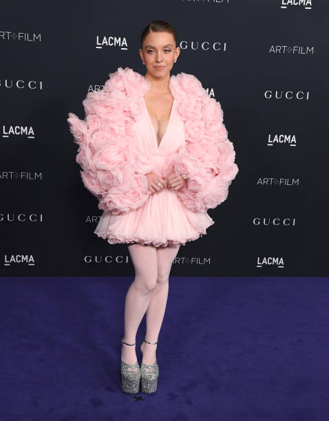Sydney Sweeney arrives at the 11th Annual LACMA Art + Film Gala at Los Angeles County Museum of Art on November 05, 2022 in Los Angeles, California.