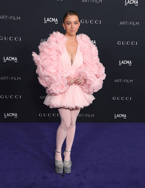Sydney Sweeney arrives at the 11th Annual LACMA Art + Film Gala at Los Angeles County Museum of Art on November 05, 2022 in Los Angeles, California — frame 21/28 (473×612)