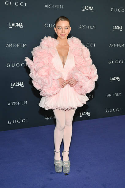 Sydney Sweeney at the 2022 LACMA Art+Film Gala held at LACMA on November 5, 2022 in Los Angeles, California — frame 20/28 (408×612)