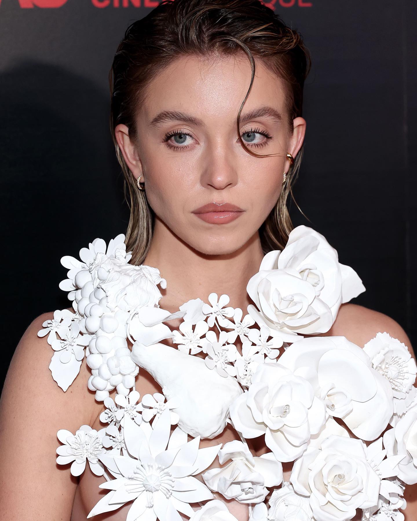 IMMACULATE march 22nd